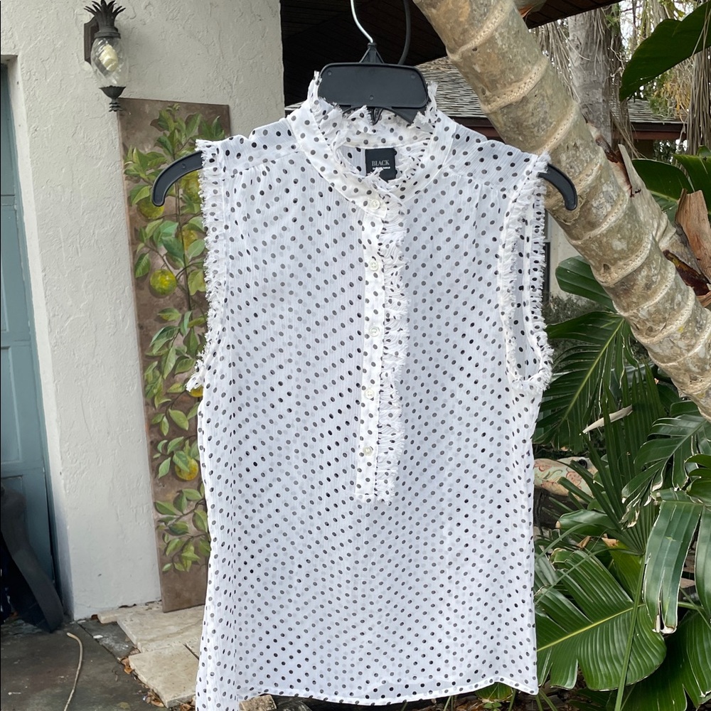 Saks Fifth Avenue Black Label sheer Polka Dot Blouse